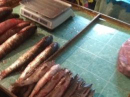 Браконьеры сбывают рыбу на мелитопольских рынках (фото)