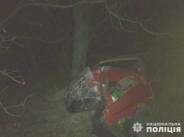 На трассе Николаевщины ВАЗ слетел с дороги и врезался в дерево - погиб водитель