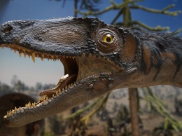 Аллигаторы помогли ученым измерить остроту слуха динозавров
