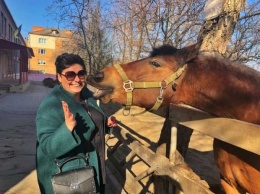 В Никополе больных деток лечат лошадки