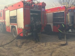 Масштабный пожар на Херсонщине: порывы ветра осложняют ситуацию