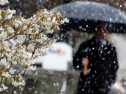 Снег и похолодание! Весна изощрено издевается над украинцами. Ветер будет сбивать с ног