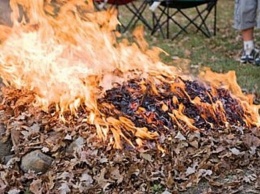 В одной области начали реально штрафовать за сжигание листьев