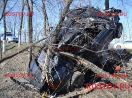 Машина повисла на дереве в результате ДТП в Ростовской области