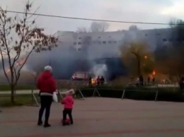 Спасатели прокомментировали пожар в парке Победы (Видео)