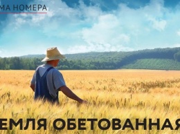 Земля обетованная. В Украине когда-нибудь откроют рынок земли?