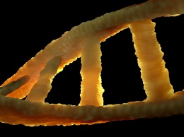 Инженеры Microsoft научились хранить цифровые данные в ДНК