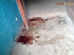 Весь подъезд был в крови: в Запорожье обнаружили мертвую девушку (ФОТО 18+)