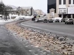 В России на дорогу выбросили тонны рыбных отходов