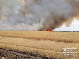 Достаточно искры, чтобы случился масштабный пожар, - спасатели