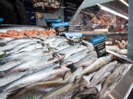 Россиян предупредили о возможном дефиците рыбы