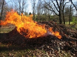 Украинцев могут начать штрафовать за сжигание мусора и листьев