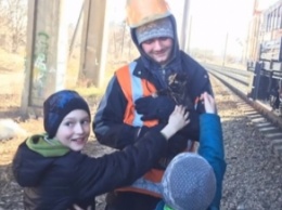 В Ровно спасли кота, просидевшего четыре дня на опоре моста (видео)