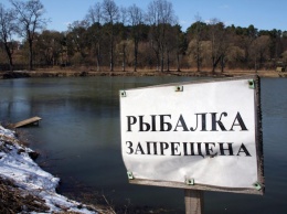 Под Киевом запретят ловить рыбу в водоемах