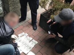 Патрульный полицейский во Львове попался на взятке в 1200 долларов