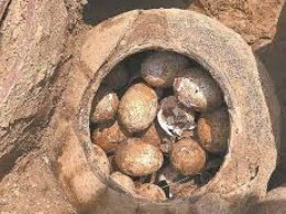 Китайские археологи нашли яйца, которым более двух тысяч лет