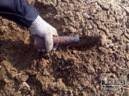 Криворожские спасатели обезвредили мину, найденную в лесу