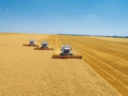 Госстат подтвердил рекордный урожай зерновых в Украине