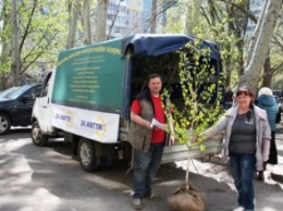 Миссия Озеленение: как идет подготовка к акции «Посади дерево - спаси город»? (ФОТО)