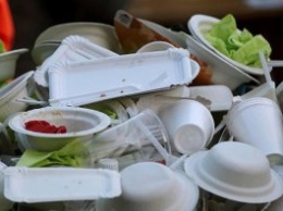 Европа окончательно запретила пластиковую посуду