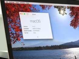 Такой может быть новая macOS