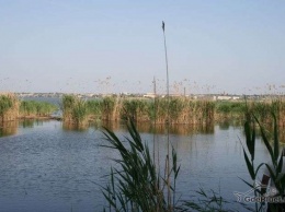 С апреля в Одесской области запрещено ловить рыбу