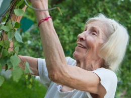 71-летняя женщина не чувствует боли из-за редкой мутации