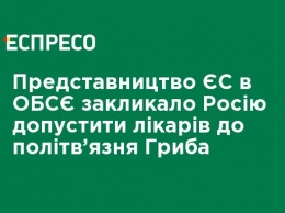 Представительство ЕС в ОБСЕ призвало Россию допустить врачей к политзаключенному Грибу