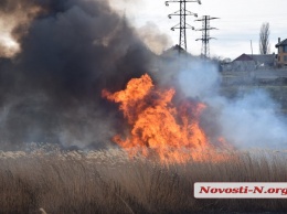 В Николаеве масштабный пожар: неизвестные подожгли камыш