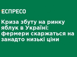 Кризис сбыта на рынке яблок в Украине: фермеры жалуются на слишком низкие цены