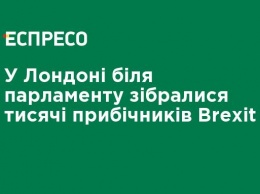 В Лондоне у парламента собрались тысячи сторонников Brexit