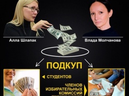Шлапак и Молчанова продолжают безнаказанно готовить сетку подкупа для Тимошенко, - блогер