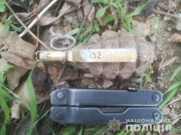 Гранату Ф-1 со взрывателем в боевом состоянии нашли возле школьной площадки в Николаеве