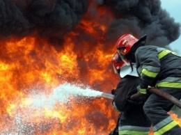 Херсонцам напоминают, как предупредить пожары на открытых территориях
