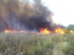 При пожаре сухой травы под Александрией пострадали четверо подростков