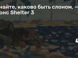 Узнайте, каково быть слоном, - анонс Shelter 3