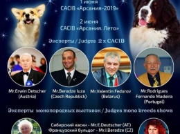 В Николаеве состоятся выставки собак FCI-CACIB «Арсания-2019» и FCI-CACIB «Арсания Лето»