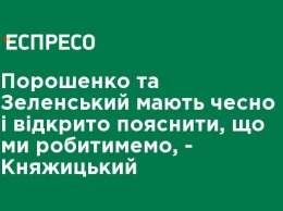 Порошенко и Зеленский должны честно и открыто объяснить, что мы будем делать, - Княжицкий