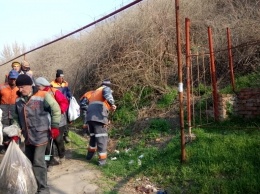 Жители частного сектора выбрасывают мусор прямо рядом со своими дворами (фото)
