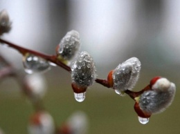 Заморозки, дождь и +24°: народный синоптик дал прогноз на апрель в Украине