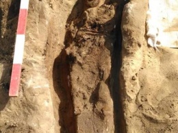 В Египте археологи обнаружили мумии возрастом в четыре тысячи лет. Фото