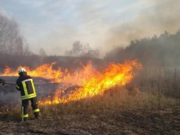 Пока горящая трава "спасает" украинское кино, поджигателям уготовили штрафы до 40 тысяч гривен