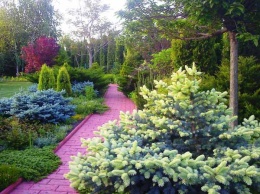 На Днепропетровщине процветает первый частный парк-сад (ФОТО)