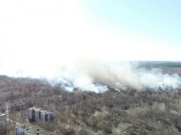 В Чернобыльской зоне произошел пожар - загорелось 20 га травы