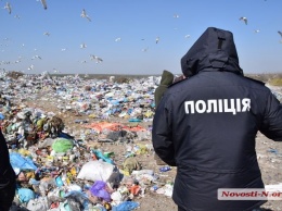 Расчлененный труп на свалке в Николаеве: установлены личность погибшей и подозреваемый