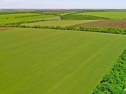 Одесские аграрии засеяли яровыми почти 200 тысяч гектаров полей