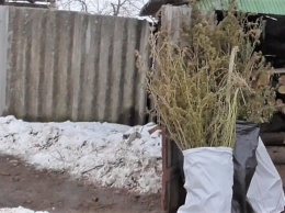На Николаевщине 8 лет грозит мужчине, который хранил дома наркотики и гранату