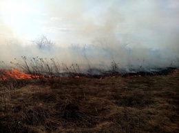 Пожары сухой травы на Полтавщине: огонь приближался к АЗС