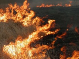 В Сумской области пенсионерка погибла в собственном дворе, сжигая сухую траву
