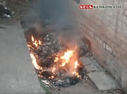 Недетские шалости - злоумышленник поджог мусор за гаражами на пр. Мира в Кривом Роге (видео)